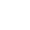 Welcome to America