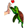 Tortoises