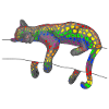 Rainbow Leopard