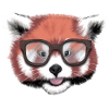 Red Panda Nerd / Glasses / minavi