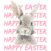 Pastellhase mit Easter-Muster