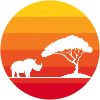 Rhino Sunset Rhino