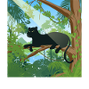 Jungle