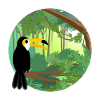 Jungle