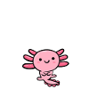 A er til Axolotl - Sjov Axolotl