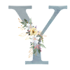 Spring Flowers Monogram Y