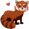 Roter Panda Panda Roux
