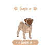 Pug Pug Dog