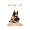 Chien Malinois
