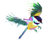 Flying Splash Bird Chickadee
