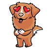 Nova Scotia Duck Tolling Retriever