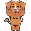Nova Scotia Duck Tolling Retriever