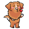 Nova Scotia Duck Tolling Retriever