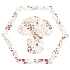 Autumn forest mushroom