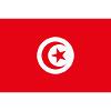 Drapeau Tunisie / Tunisian flag