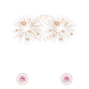 Pyrotechniker Himmel bunt Böller Pyrotechnik