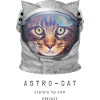 Space cat | Astronaut cat
