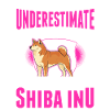Shiba Inu Besitzerin