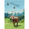Allgäu im Frühling