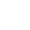 Raccoon