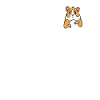 Hamster