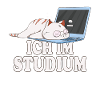 Ich im Studium schlafende katze