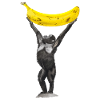 Monkey Banana Ape