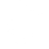 Crâne blanc et vitesse