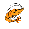 Shrimp