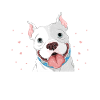 Pitbull