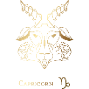 Capricorn/Steinbock