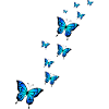 Blue Butterfly