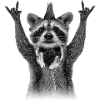 Musique Racoon