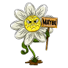Daisy