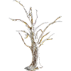 Baum