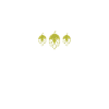 Brewer
