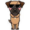 Border Terrier Dog