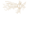Semiconductor Chip Ladder