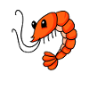Shrimp