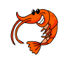 Shrimp