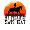 Rodeo Western Cowboy Wild West