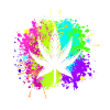 7 leafy cannabis leaf
