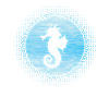 Hippocampe