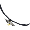 Wanderfalke Falke Peregrine Falcon