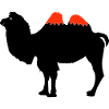 Camel Silhouette