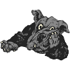 Hund