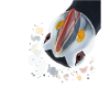 Funny Curious Puffin Bird