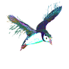 Splash Flying Bird Puffin