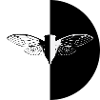 BlackWhite Cicada