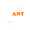 Ant